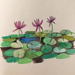kampong pond watercolor